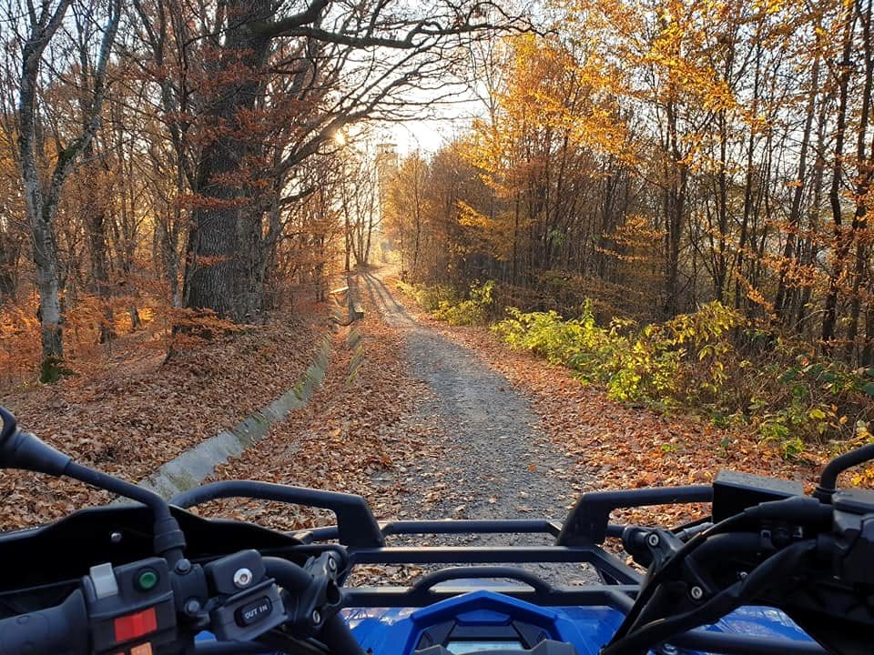 Drum forestier, toamna