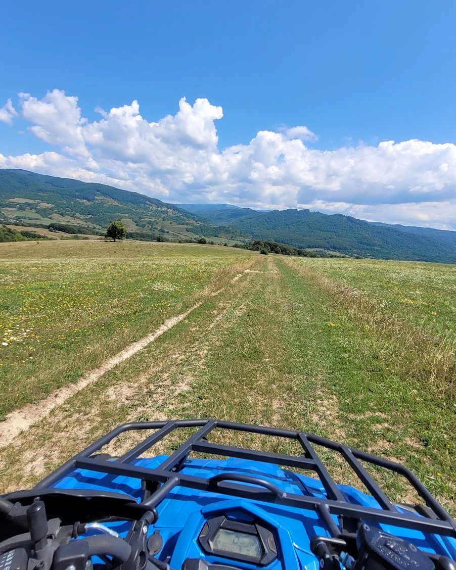 Vara, pe pajiști