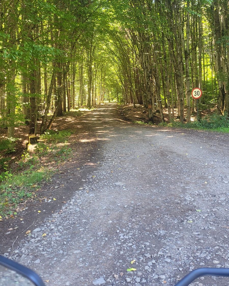 Tunelul verde